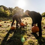 Is Your Leg Pain Slowing You Down During The Fall Season?