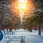 VSC Will Be Closed On Monday, January 17.